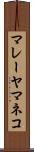 マレーヤマネコ Scroll