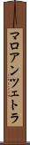 マロアンツェトラ Scroll