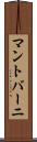 マントバーニ Scroll