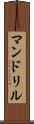 マンドリル Scroll