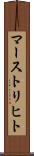 マーストリヒト Scroll