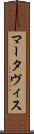 Martavis Scroll