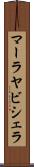 マーラヤビシェラ Scroll