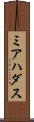 ミアハダス Scroll