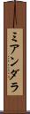 ミアンダラ Scroll