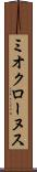 ミオクローヌス Scroll