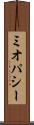 ミオパシー Scroll