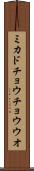 ミカドチョウチョウウオ Scroll