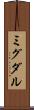 ミグダル Scroll