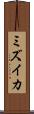 ミズイカ Scroll