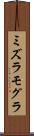 ミズラモグラ Scroll
