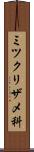 ミツクリザメ科 Scroll