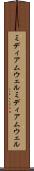 ミディアムウェル Scroll