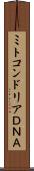 ミトコンドリアＤＮＡ Scroll