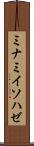 ミナミイソハゼ Scroll