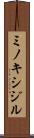 ミノキシジル Scroll