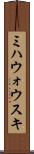 ミハウォウスキ Scroll