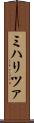 ミハリツァ Scroll