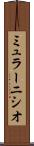 ミュラーニシオ Scroll
