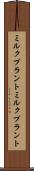 ミルクプラント Scroll