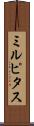 ミルピタス Scroll