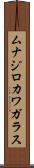 ムナジロカワガラス Scroll