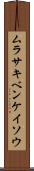 ムラサキベンケイソウ Scroll