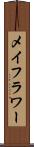 メイフラワー Scroll