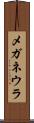 メガネウラ Scroll