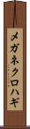 メガネクロハギ Scroll
