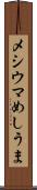 メシウマ Scroll