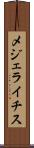 メジェライチス Scroll
