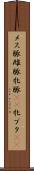 メス豚 Scroll