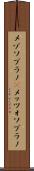 メゾソプラノ(P) Scroll