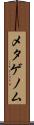 メタゲノム Scroll