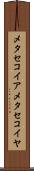 メタセコイア Scroll