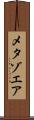 メタゾエア Scroll
