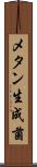 メタン生成菌 Scroll