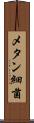 メタン細菌 Scroll