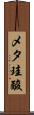 メタ珪酸 Scroll