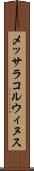 メッサラコルウィヌス Scroll