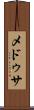 メドゥサ Scroll