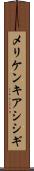 メリケンキアシシギ Scroll