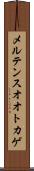 メルテンスオオトカゲ Scroll