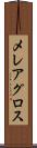 メレアグロス Scroll