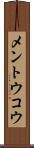 メントウコウ Scroll