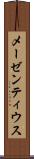 メーゼンティウス Scroll