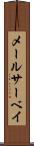 メールサーベイ Scroll