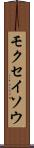 モクセイソウ Scroll