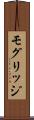 モグリッジ Scroll